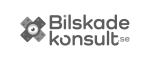 Bilskadekonsult