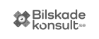 Bilskadekonsult